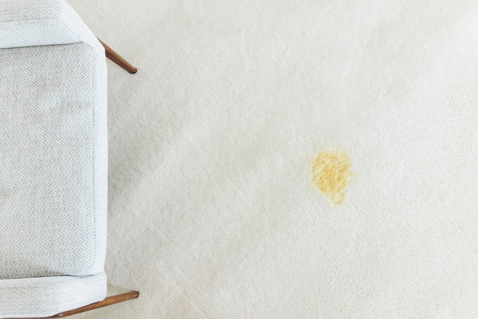 mysterious yellow stain on carpet from dog urine or other household spill