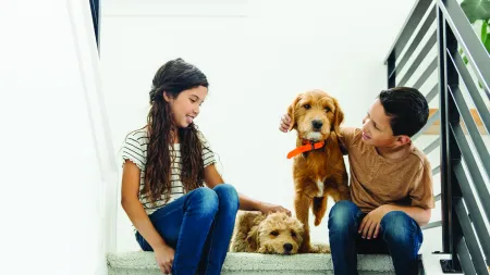 Two children sitting on carpeted stairs with two small brown dogs, bright modern home interior